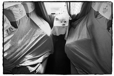 The Chinese in the train de Wang Fuchun