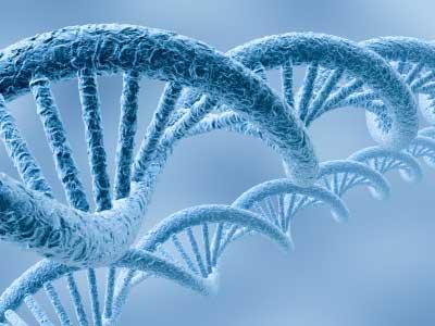 ADN, le disque dur du futur ?