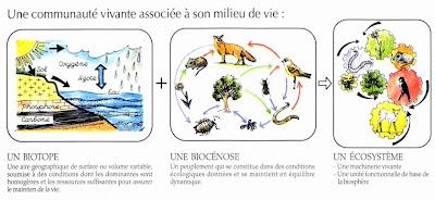 L'odeur de la sauvage est encore là, elle est partie... et nous parlons de son écosystème