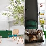 Inspiration couleur « Et pourquoi pas du vert?? »