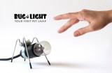 Bug Light : lampes et animaux de compagnie