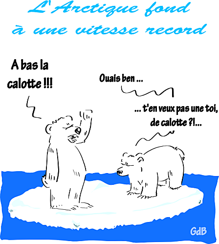 fonteCalotteArctique.png