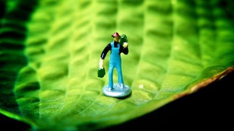 Macro Folie #6 anteketborka.blogspot.com, minipeople3