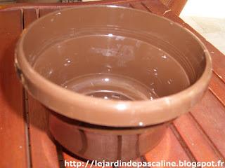 Il faut penser à la rentrée des plantes !!!