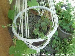Il faut penser à la rentrée des plantes !!!