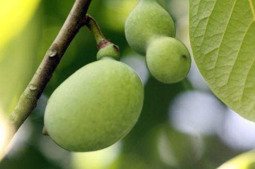 asimina rmarnay 22 juil 2012 031 (1).jpg