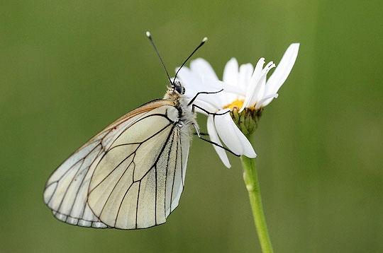 Le Jura et ses saisons