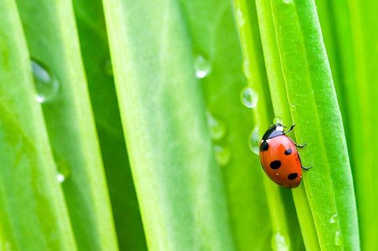 Le Jura et ses saisons