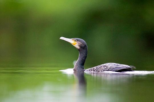 Le Jura et ses saisons