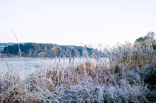 Le Jura et ses saisons
