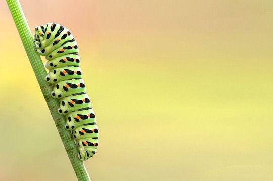 Le Jura et ses saisons
