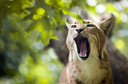 Le Jura et ses saisons