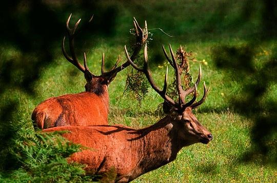 Le Jura et ses saisons