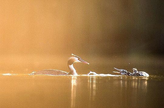 Le Jura et ses saisons