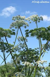 Le musée de plein air des Maisons comtoises de Nancray (2ème partie)