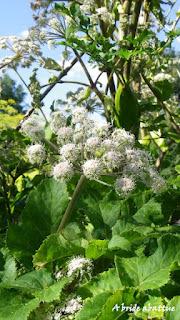Le musée de plein air des Maisons comtoises de Nancray (2ème partie)