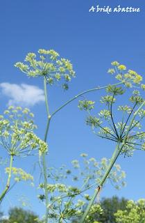 Le musée de plein air des Maisons comtoises de Nancray (2ème partie)