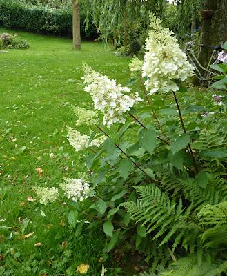 Quitter tout ce Bleu en pagaille(qui m'a fait un bien fou...