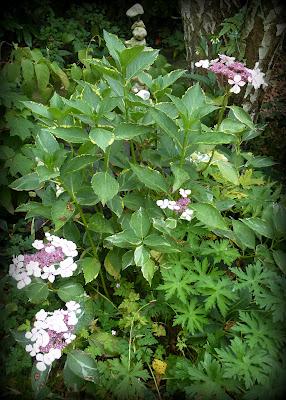 Quitter tout ce Bleu en pagaille(qui m'a fait un bien fou...