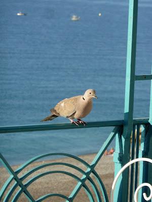 Quitter tout ce Bleu en pagaille(qui m'a fait un bien fou...