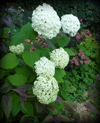 Quitter tout ce Bleu en pagaille(qui m'a fait un bien fou...