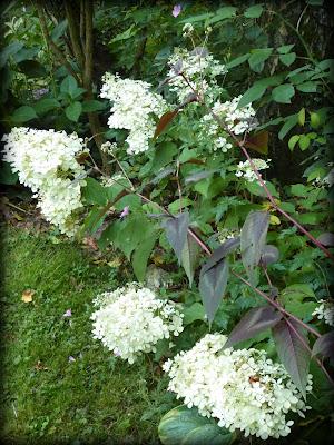 Quitter tout ce Bleu en pagaille(qui m'a fait un bien fou...