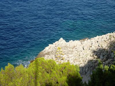 Quitter tout ce Bleu en pagaille(qui m'a fait un bien fou...