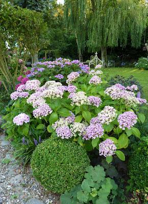 Quitter tout ce Bleu en pagaille(qui m'a fait un bien fou...