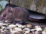 PH-ilosophie table-RASE