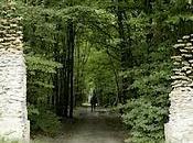 Land Cornelia Konrads