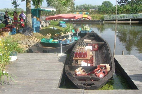 Mercredi 15 août : marché sur l'eau à Clairmarais (Pas-de-Calais)