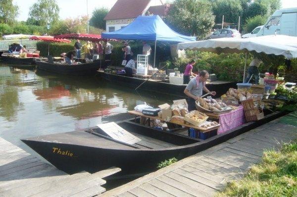 Mercredi 15 août : marché sur l'eau à Clairmarais (Pas-de-Calais)