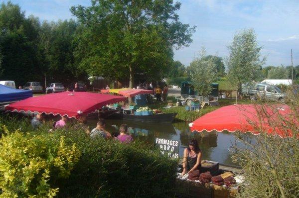 Mercredi 15 août : marché sur l'eau à Clairmarais (Pas-de-Calais)