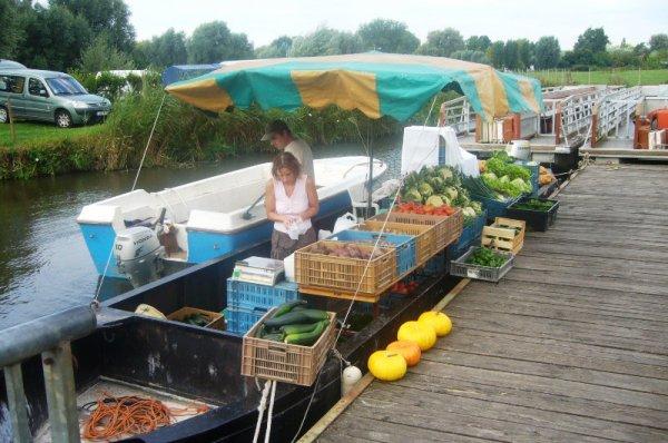 Mercredi 15 août : marché sur l'eau à Clairmarais (Pas-de-Calais)