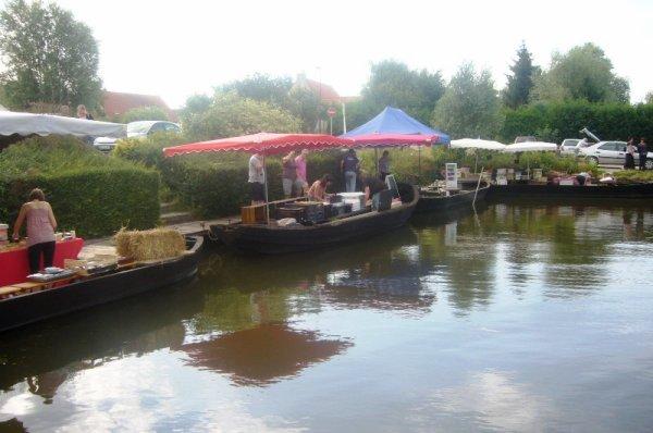 Mercredi 15 août : marché sur l'eau à Clairmarais (Pas-de-Calais)