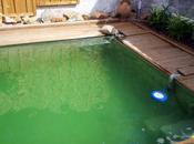 Malgré canicule baignades répétées, filtration contribue pour qualité l'eau piscine !...