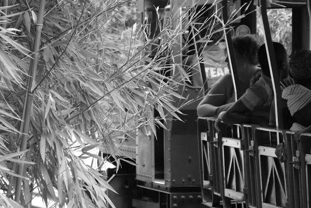 Le train de ta vie...