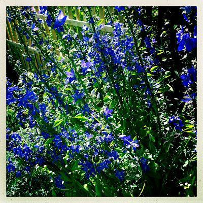 INSTANTANÉS BRETONS par Hayley