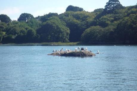 INSTANTANÉS BRETONS par Hayley