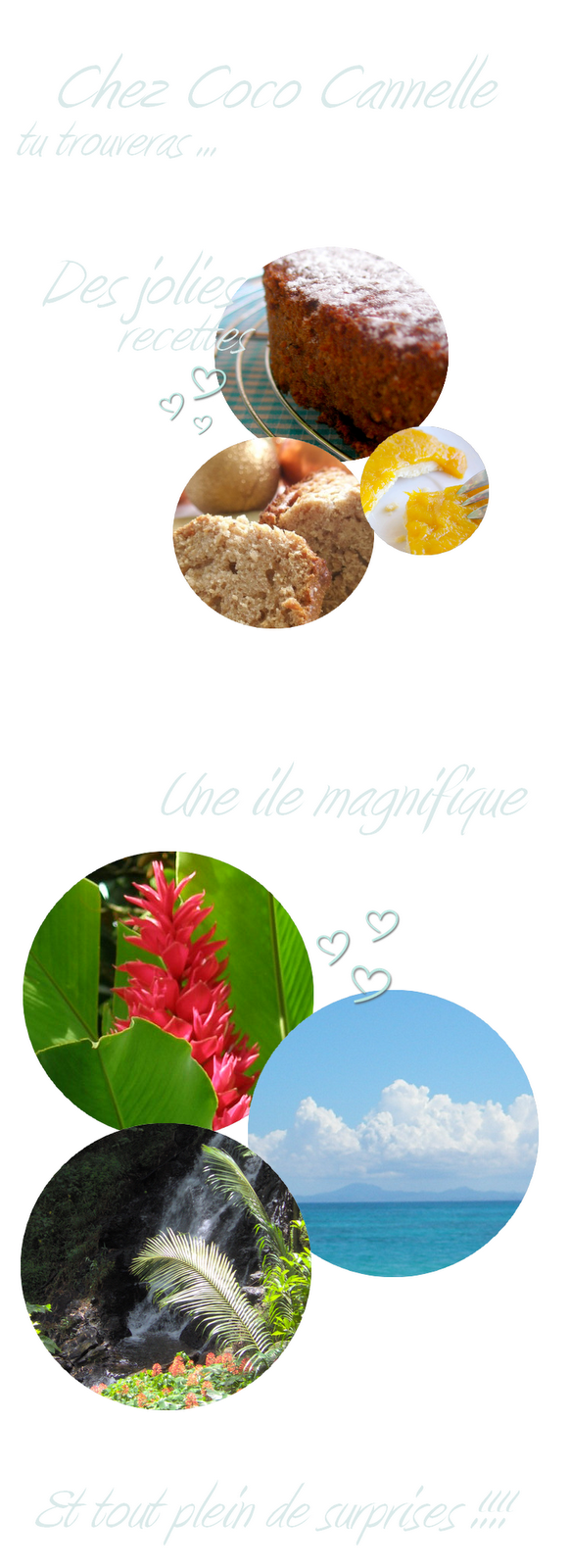 Du changement chez Coco Cannelle