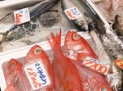 Fukushima poissons sont devenus hautement radioactifs