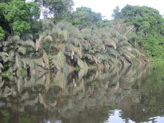 ACTIVITES ECOTOURISTIQUES DE LAEO-CAMEROON