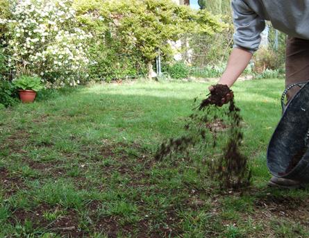 terreautage pelouse à regarnir