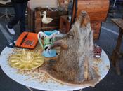 Evènement braderie Lille 2012