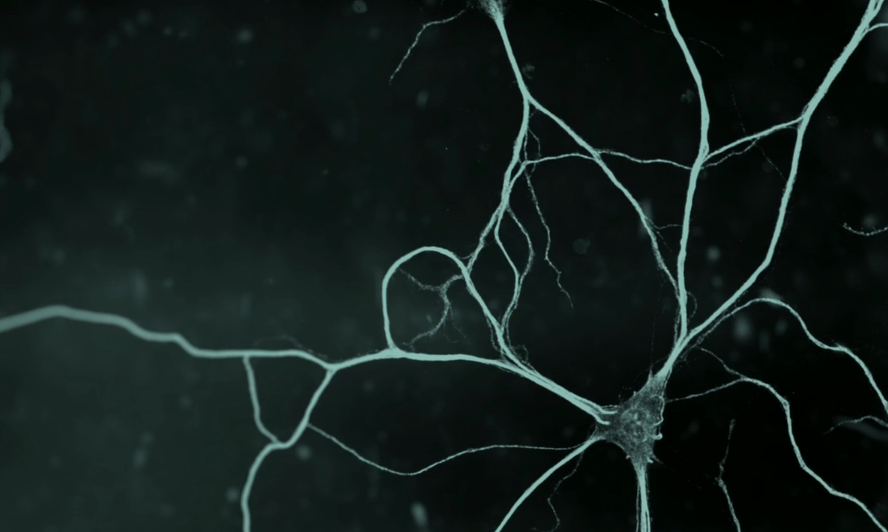 Il est une fois la vie…