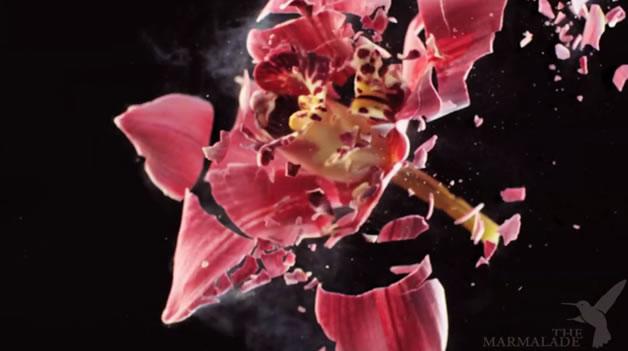 Le High Speed de toute beauté