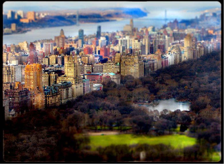 Coup de coeur de la semaine : Fernando Livshitz