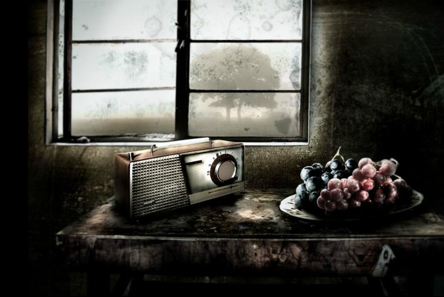 Coup de coeur de la semaine : Fernando Livshitz