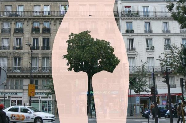 Sandrine Estrade-Boulet, le pouvoir de l’imagination