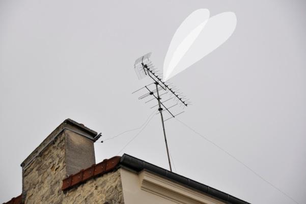 Sandrine Estrade-Boulet, le pouvoir de l’imagination